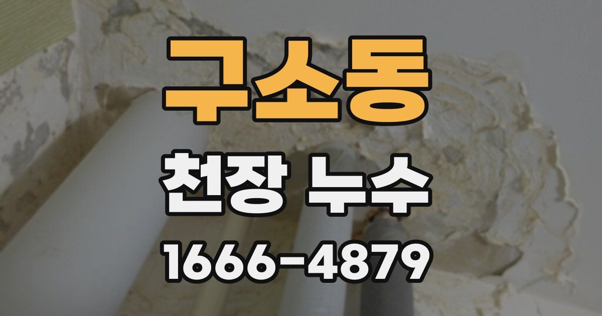 구소동 천장 누수
