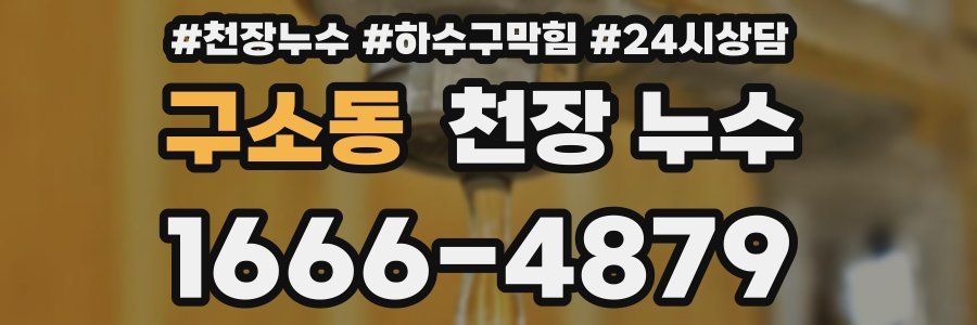 구소동 천장 누수