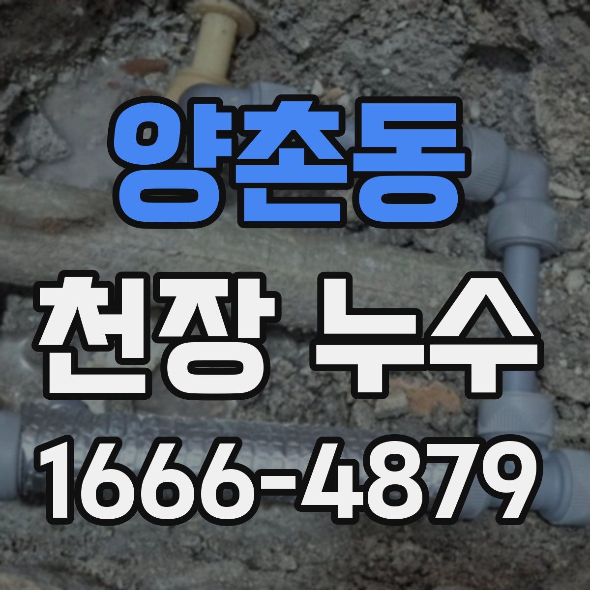 양촌동 천장 누수