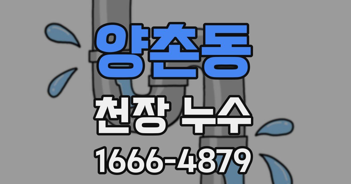 양촌동 천장 누수