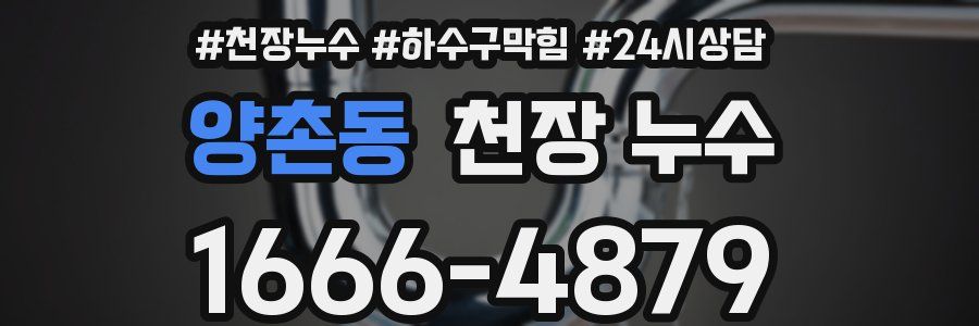 양촌동 천장 누수