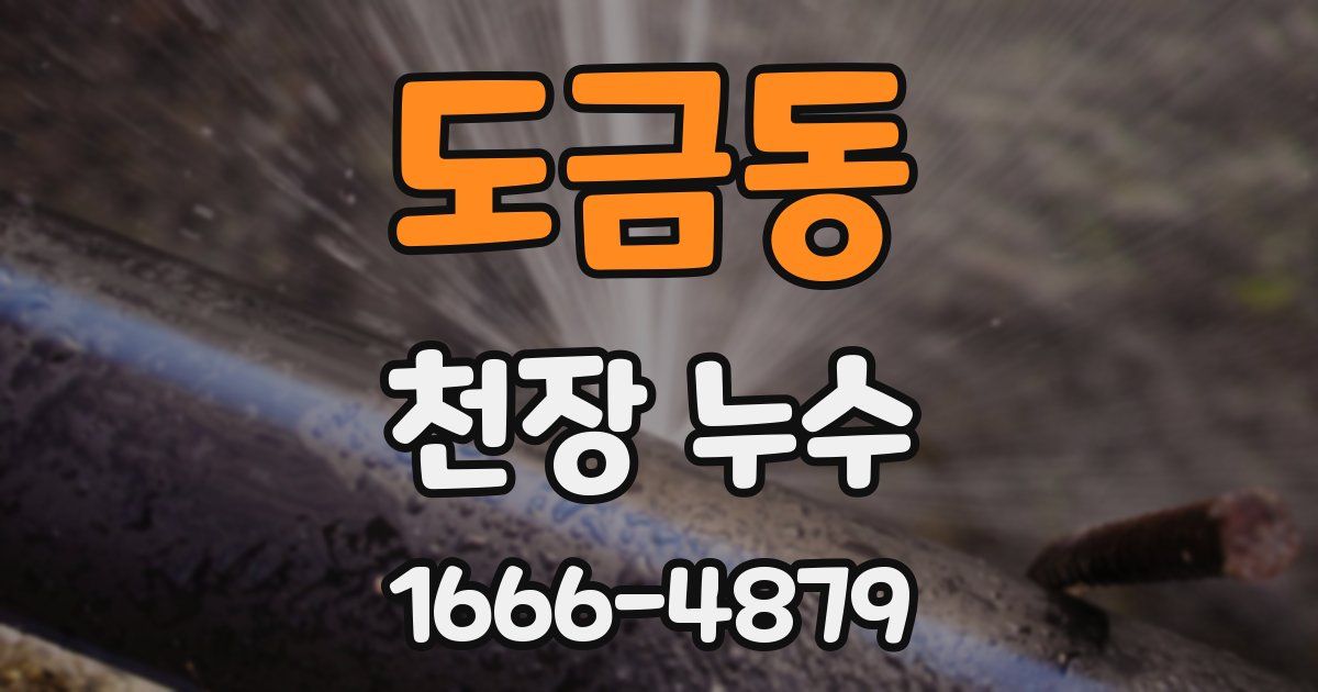 도금동 천장 누수