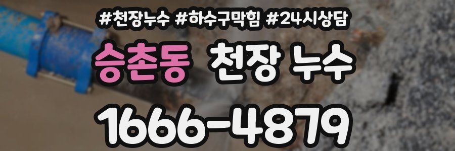 승촌동 천장 누수