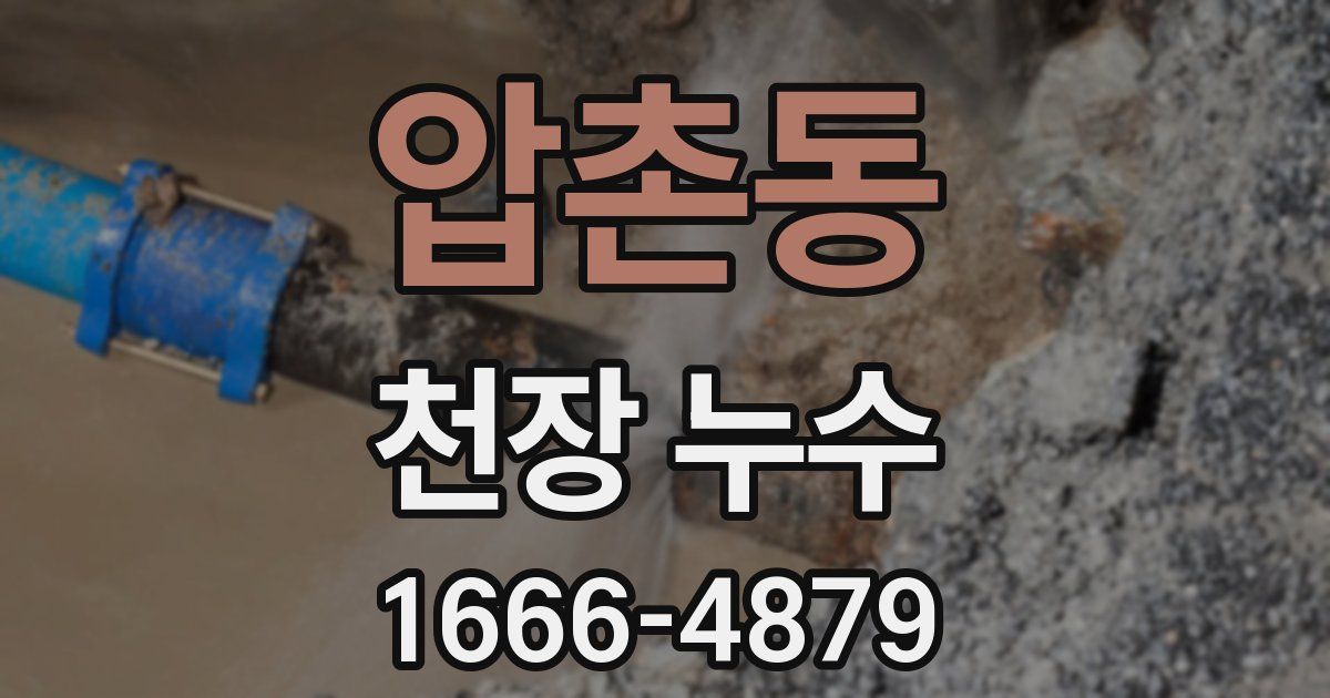 압촌동 천장 누수