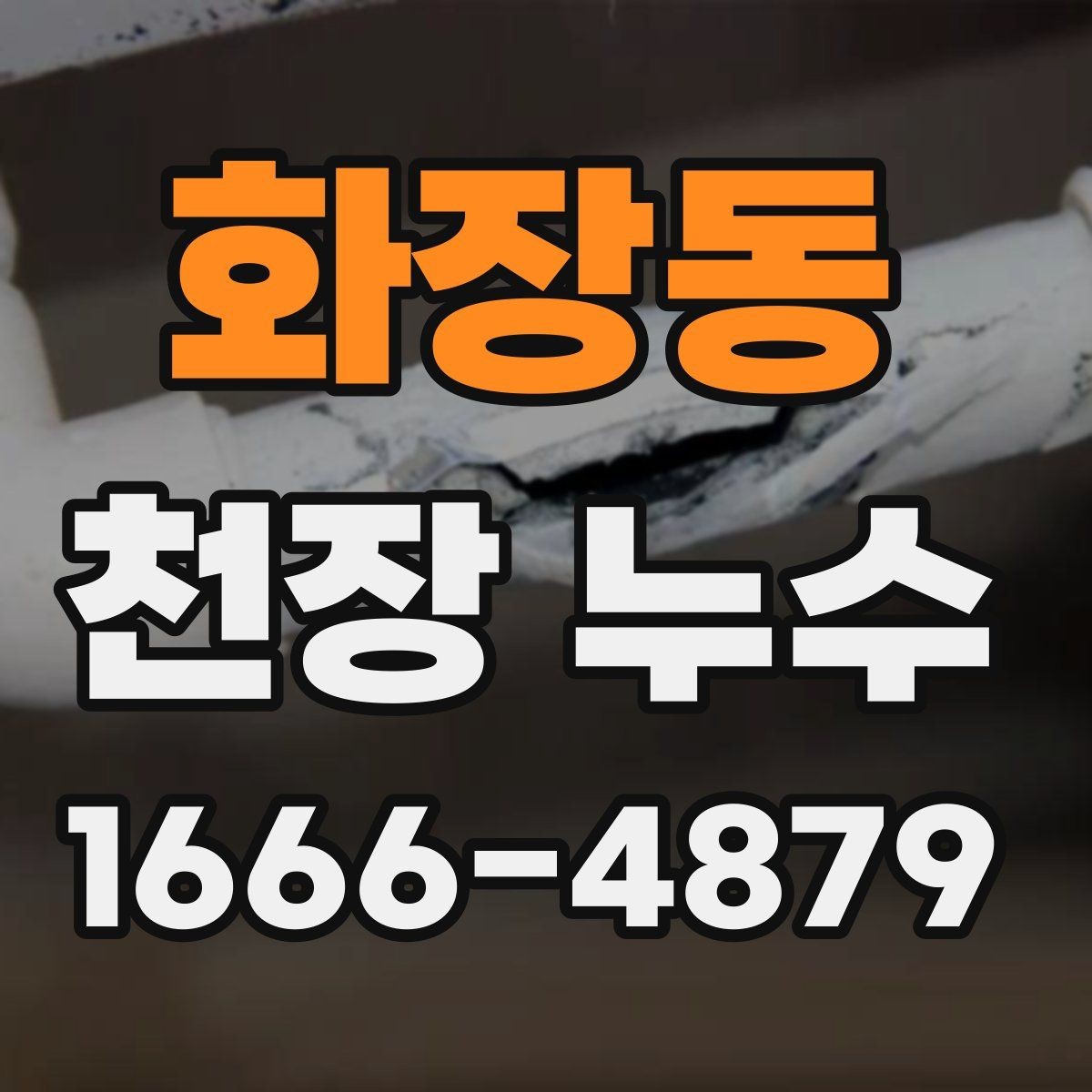화장동 천장 누수 조명 커버 안쪽에 물방울이 맺히면 즉시 조치