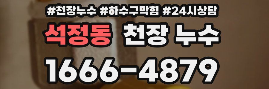 석정동 천장 누수