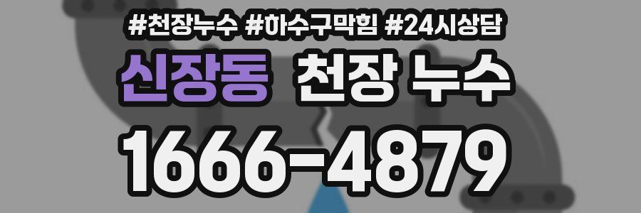 신장동 천장 누수