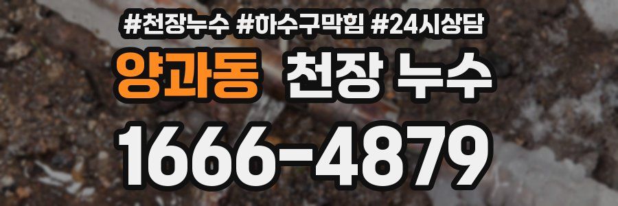 양과동 천장 누수