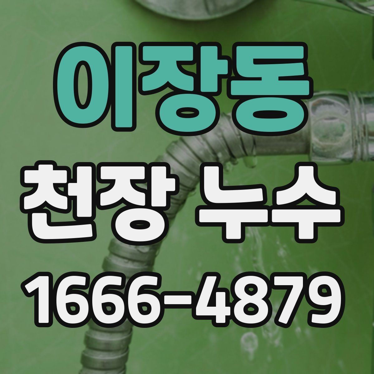 이장동 천장 누수 원인부터 정확히 잡아야 합니다