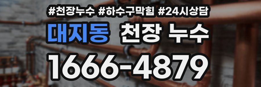 대지동 천장 누수