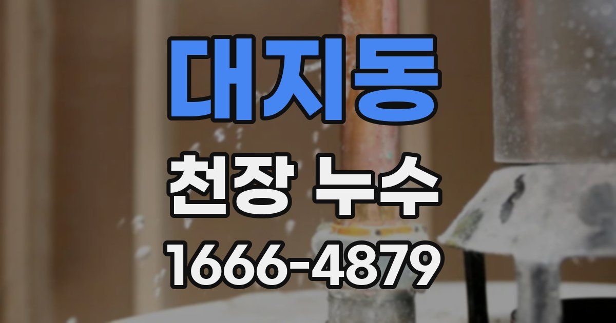 대지동 천장 누수