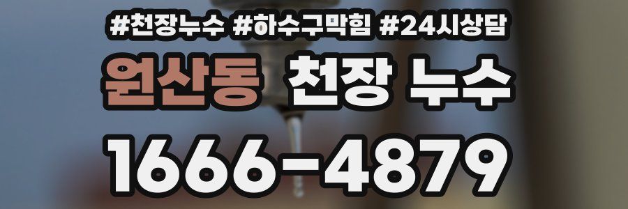 원산동 천장 누수