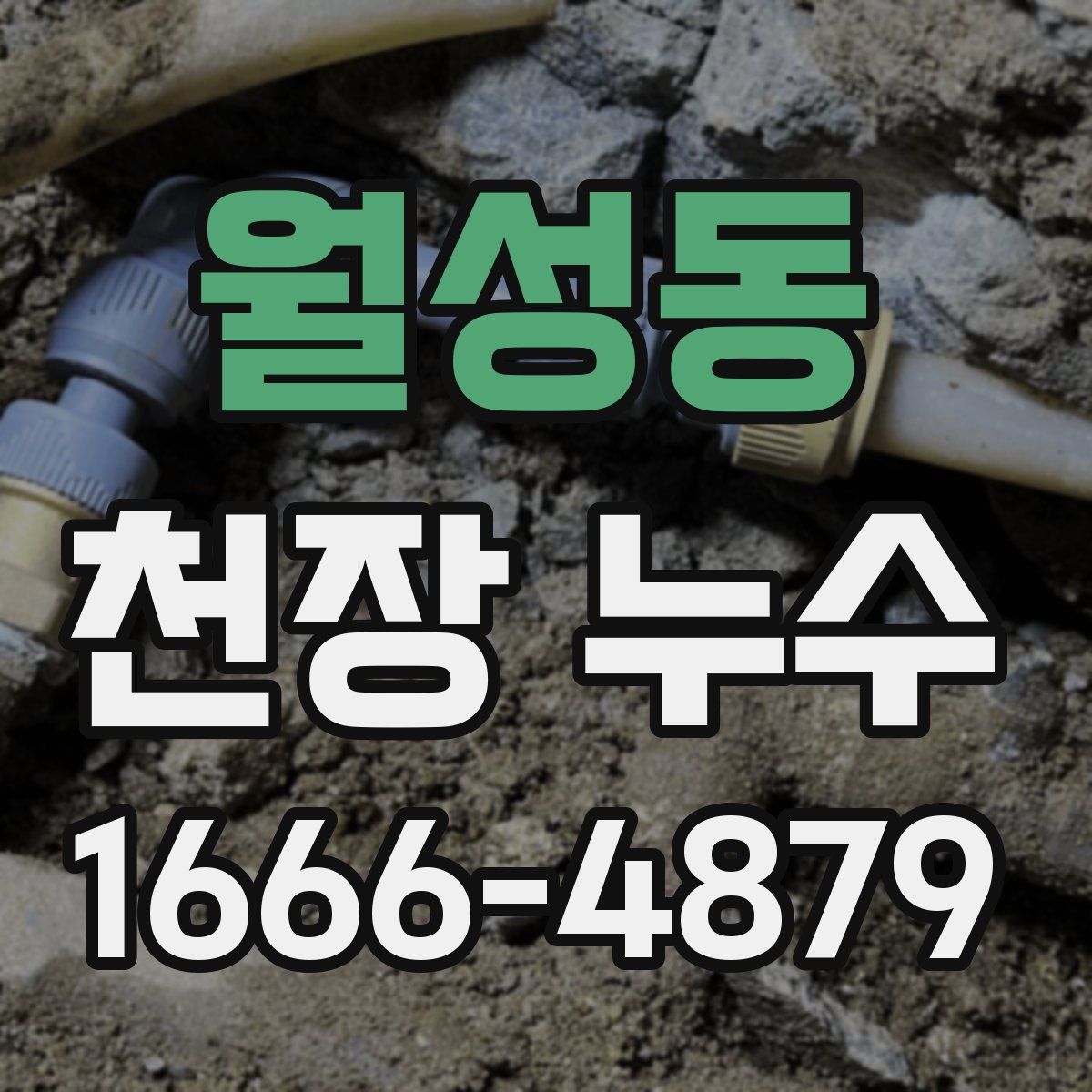 월성동 천장 누수