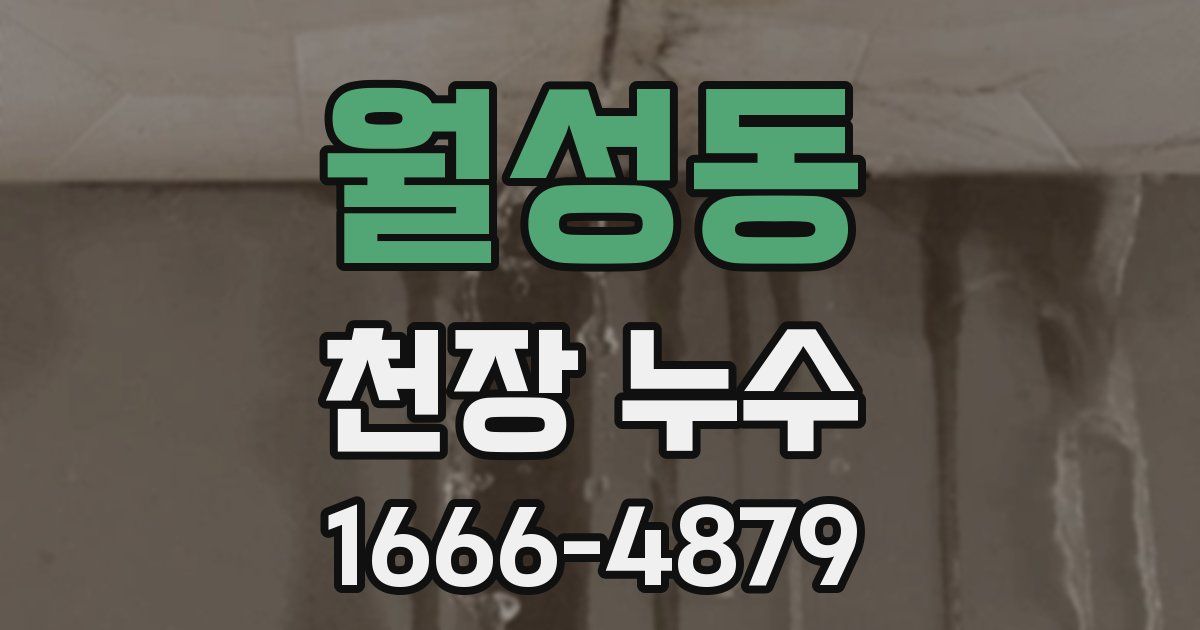 월성동 천장 누수