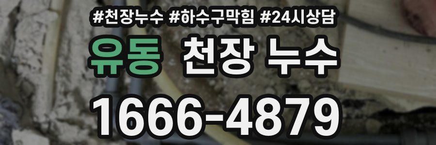 유동 천장 누수