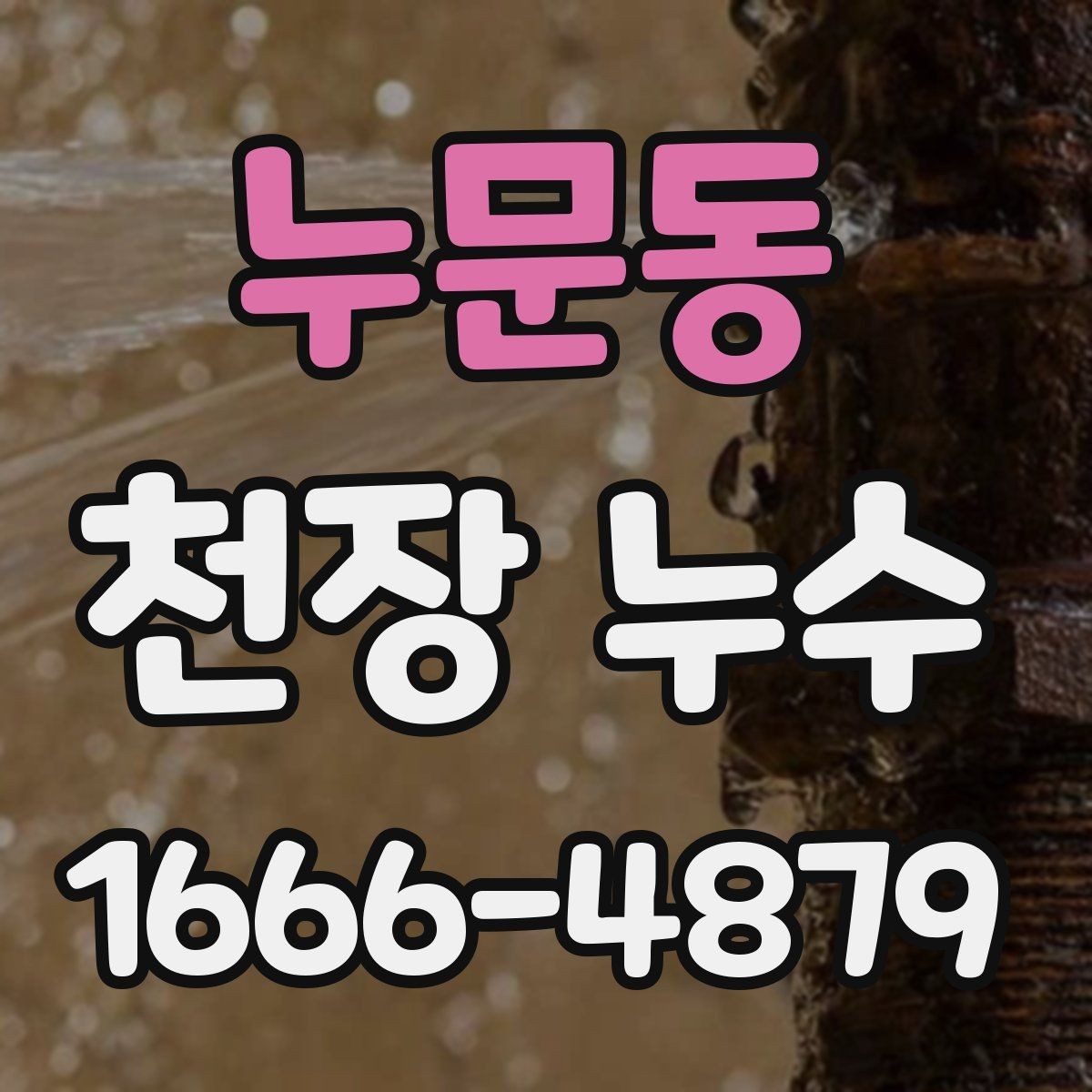 누문동 천장 누수 천장 누수와 함께 전등이 깜빡이면 바로 점검