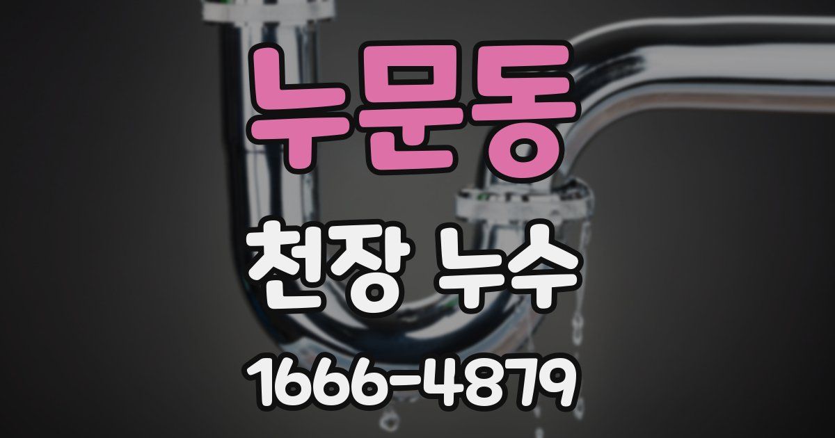 누문동 천장 누수