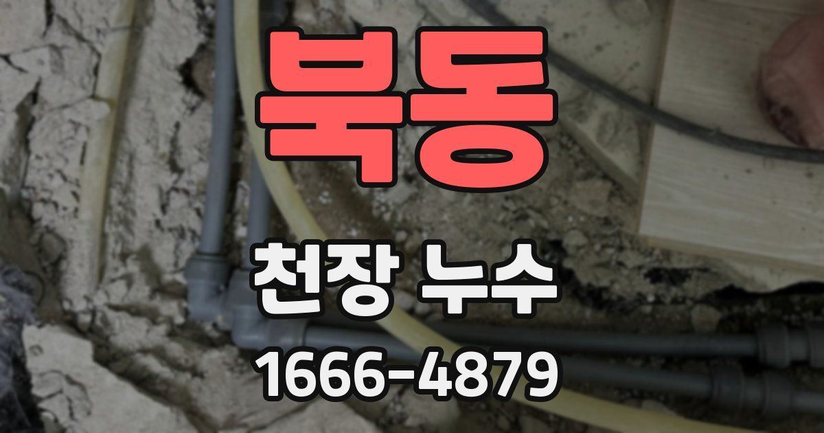 북동 천장 누수