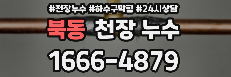 북동 천장 누수