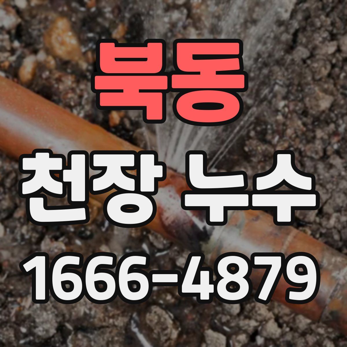 북동 천장 누수