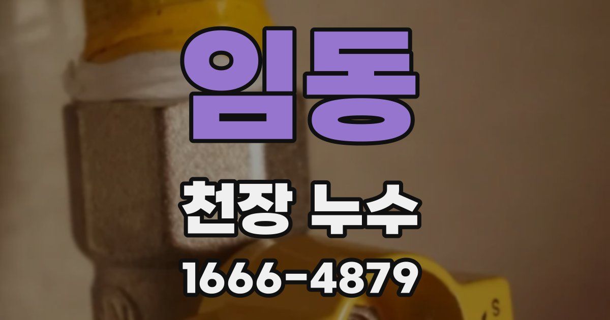 임동 천장 누수