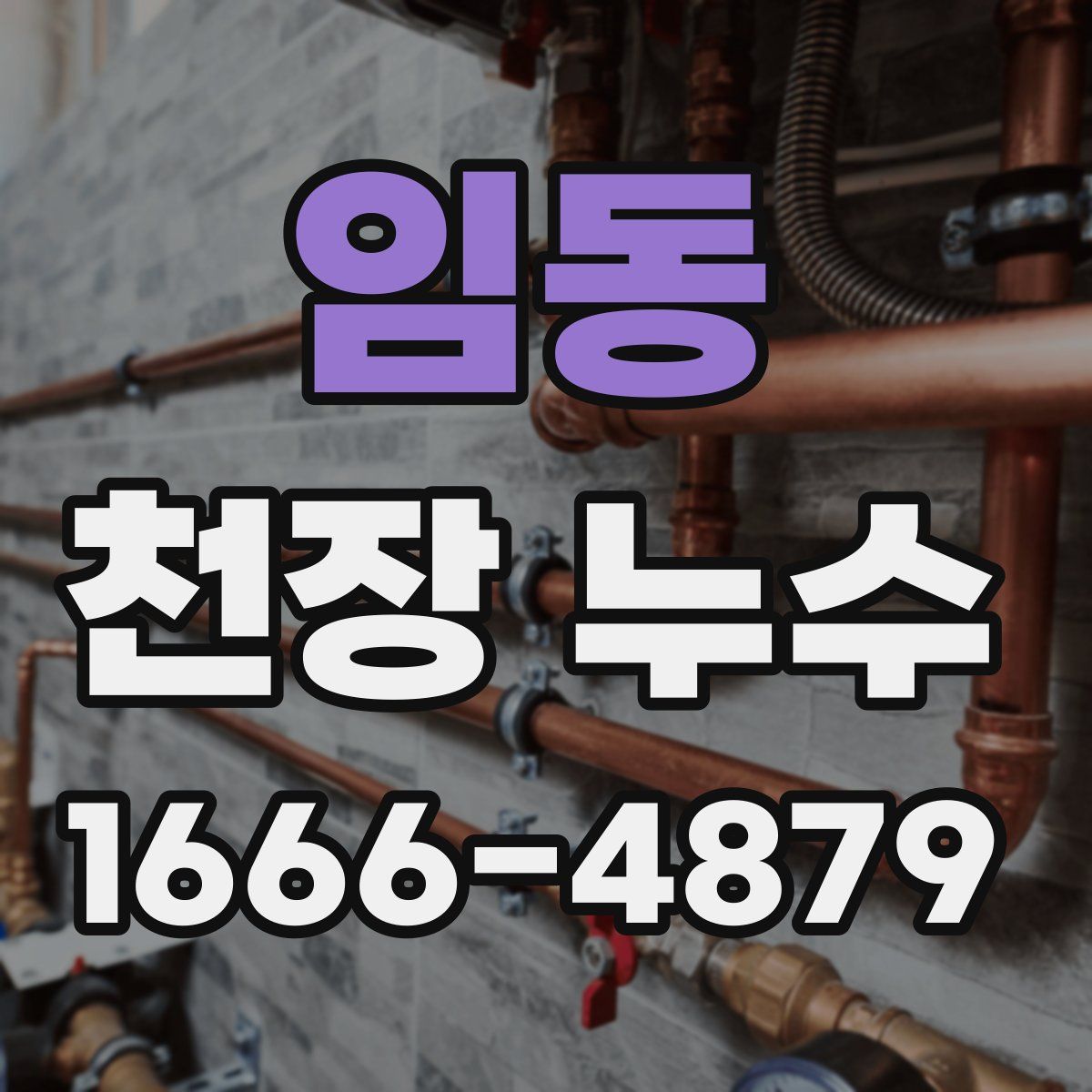 임동 천장 누수