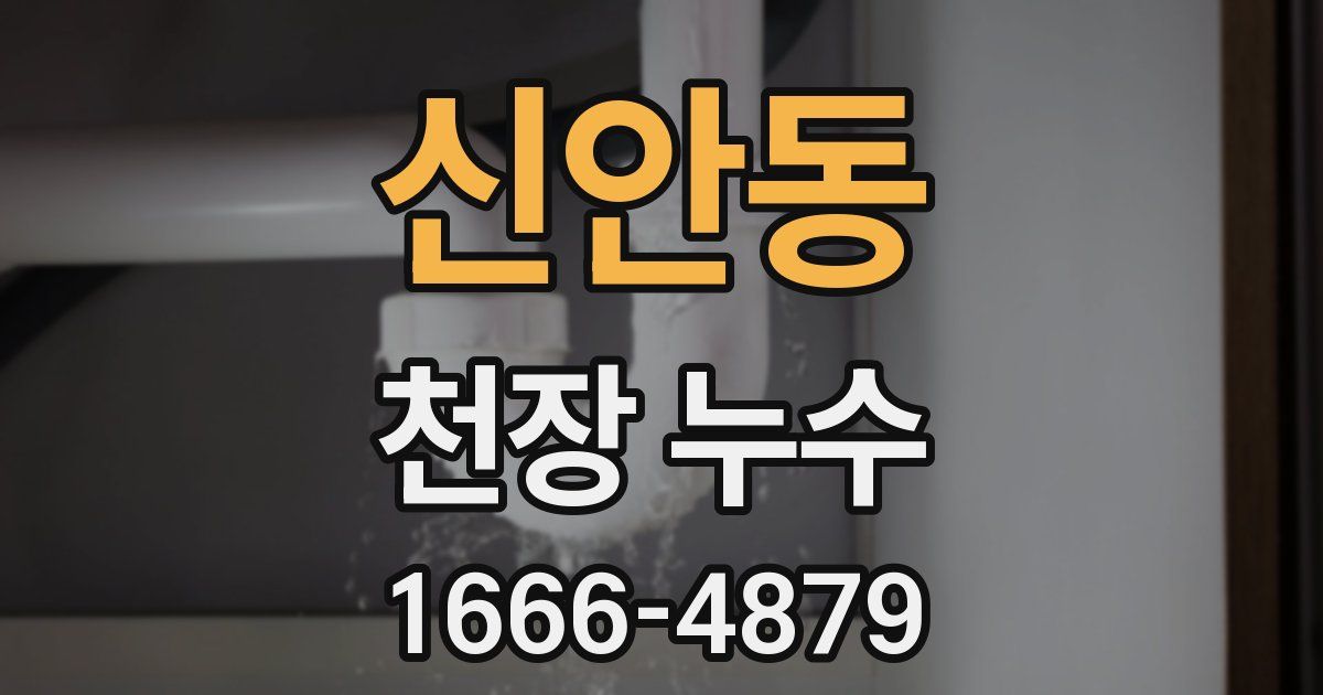 신안동 천장 누수