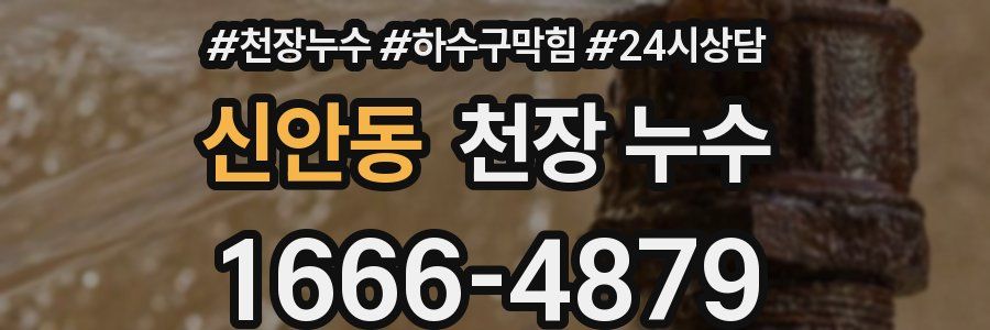 신안동 천장 누수