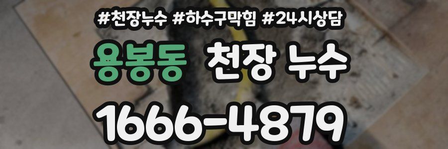 용봉동 천장 누수