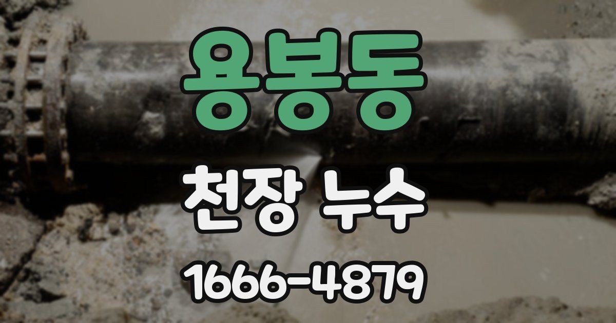 용봉동 천장 누수