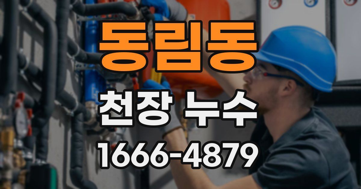 동림동 천장 누수