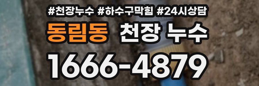 동림동 천장 누수