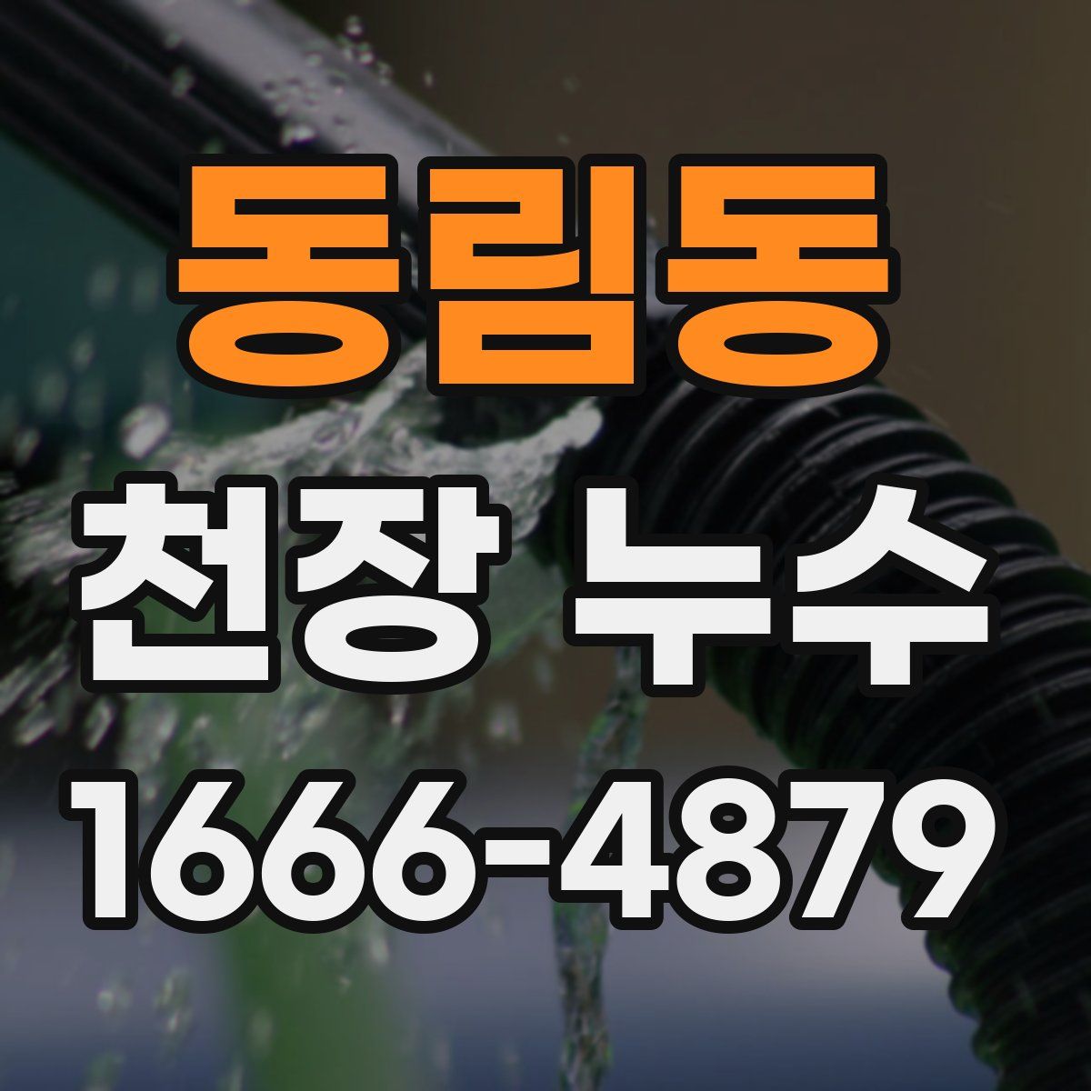 동림동 천장 누수