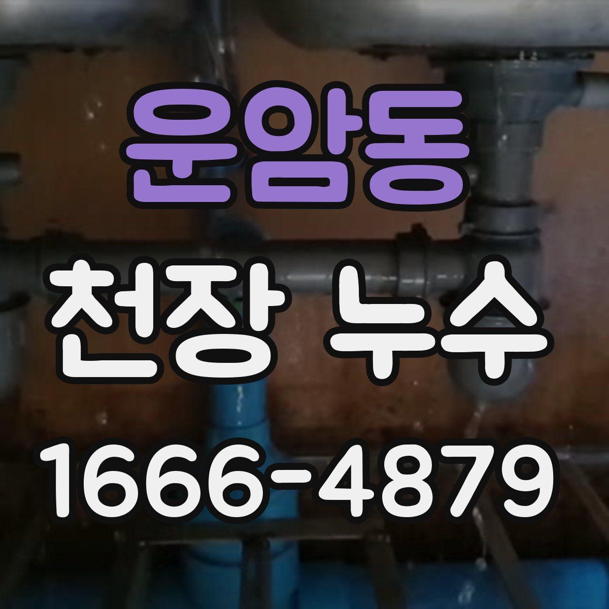 운암동 천장 누수