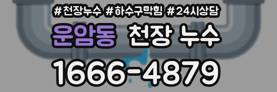 운암동 천장 누수