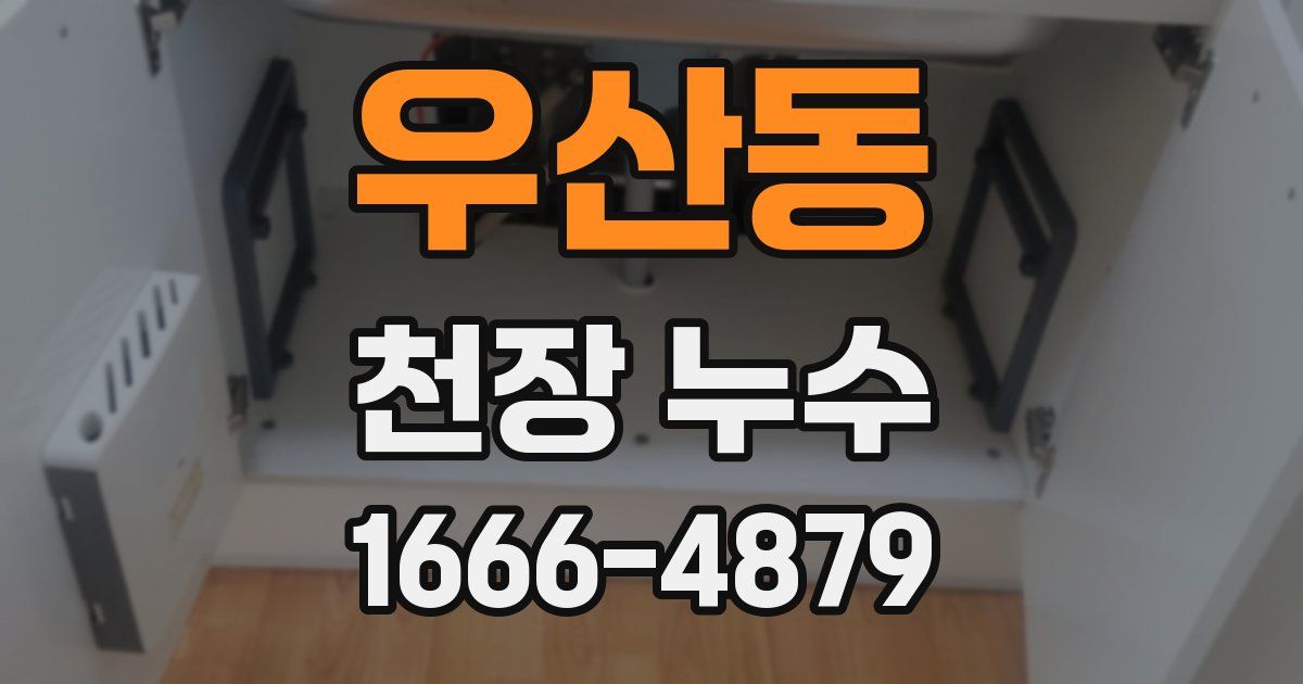 우산동 천장 누수