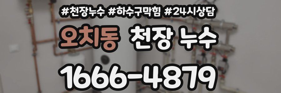 오치동 천장 누수