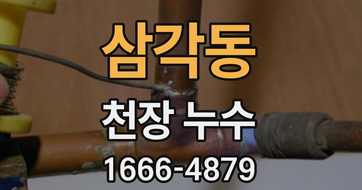 삼각동 천장 누수