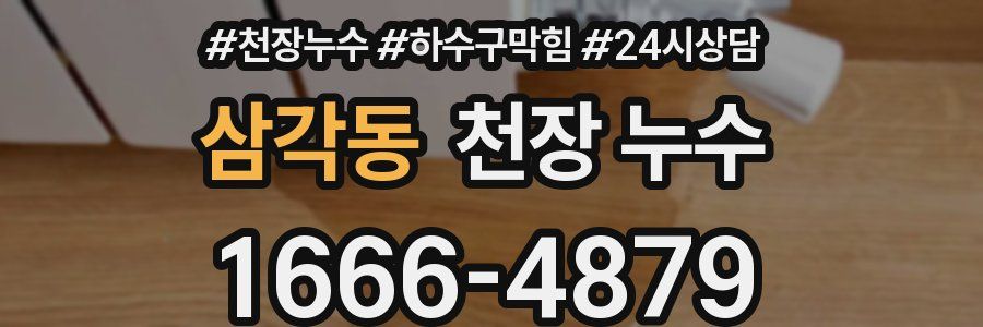 삼각동 천장 누수