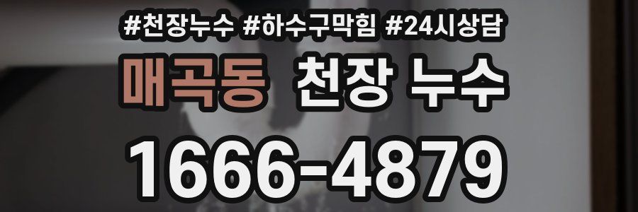 매곡동 천장 누수