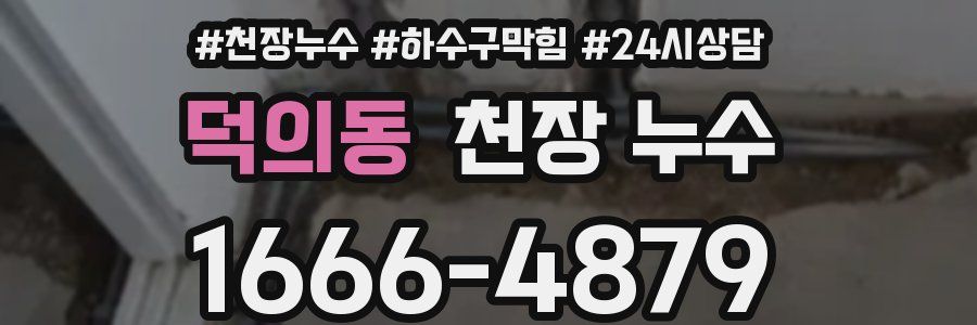 덕의동 천장 누수