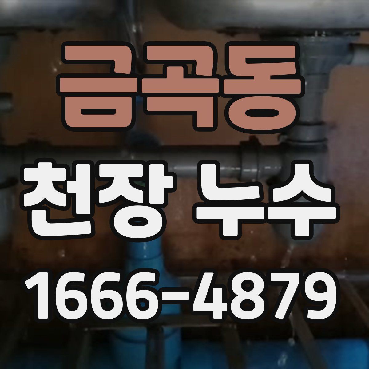 금곡동 천장 누수 점검구를 열어도 원인이 안 보일 때