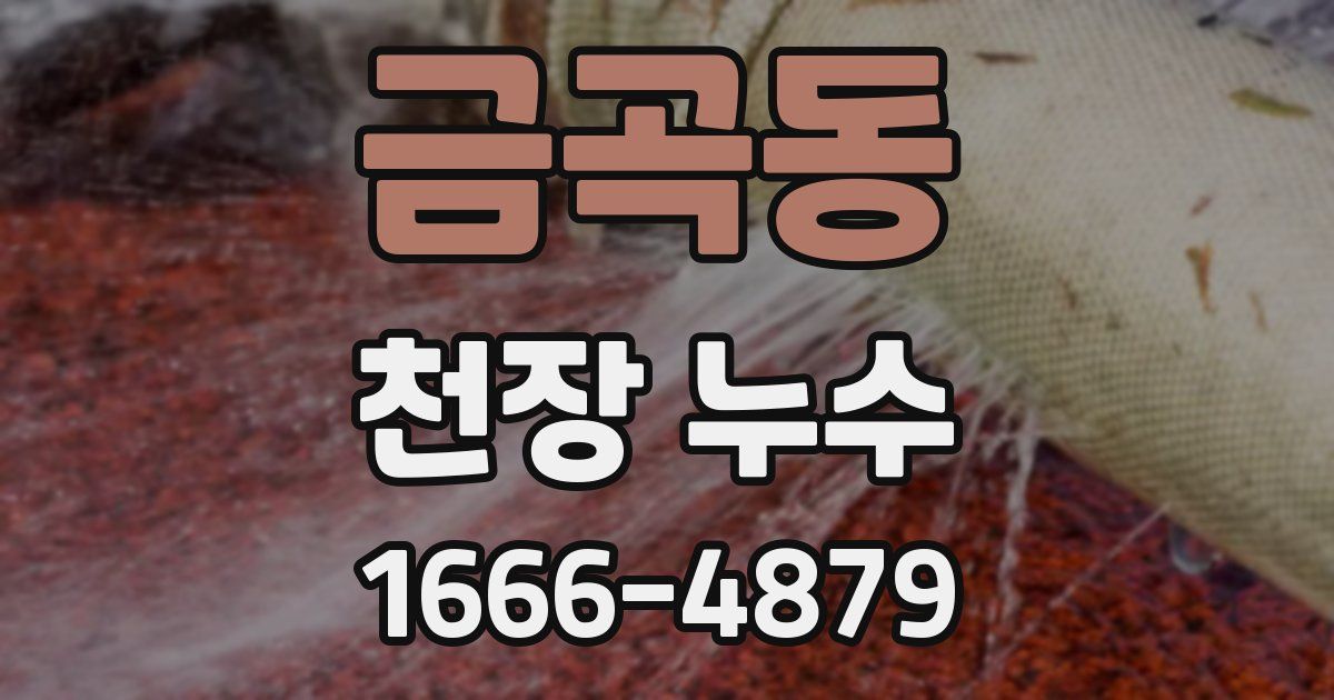 금곡동 천장 누수