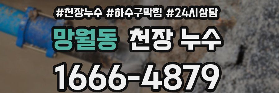 망월동 천장 누수