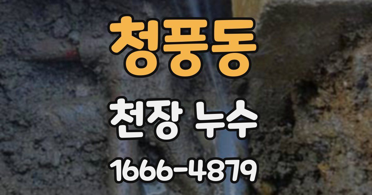 청풍동 천장 누수