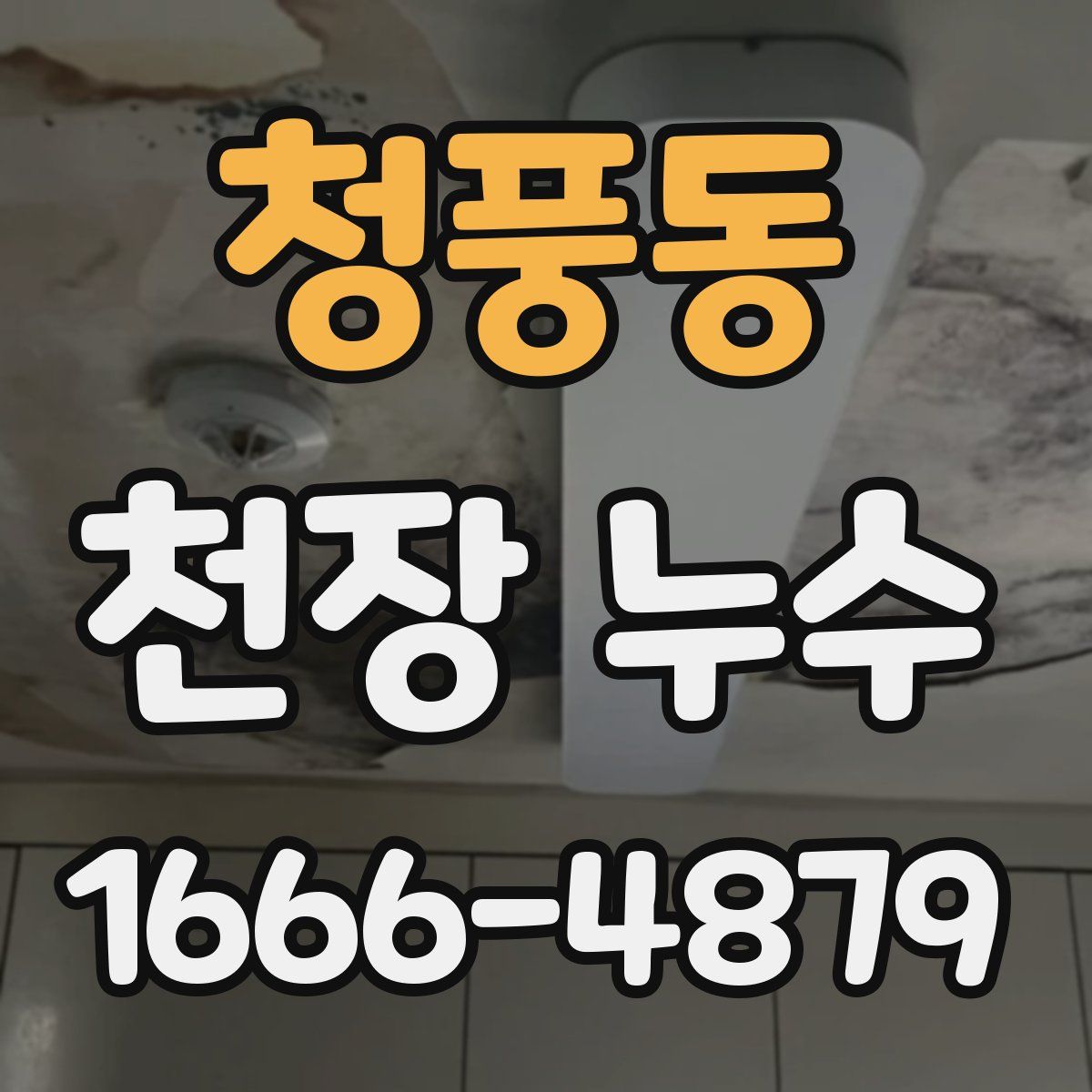 청풍동 천장 누수