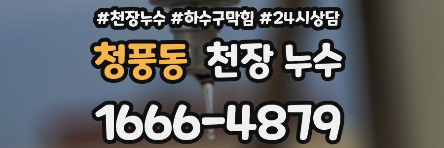 청풍동 천장 누수