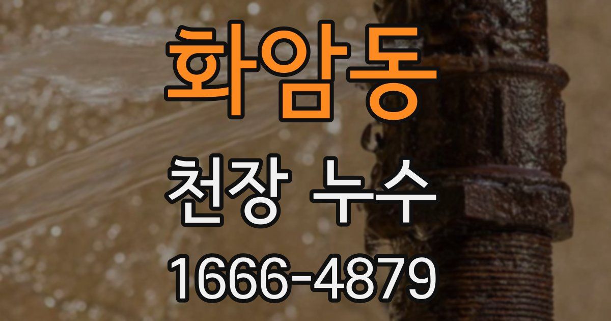 화암동 천장 누수