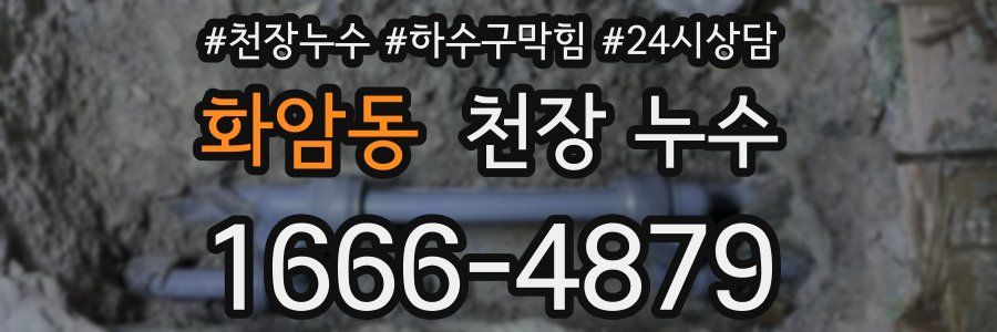 화암동 천장 누수