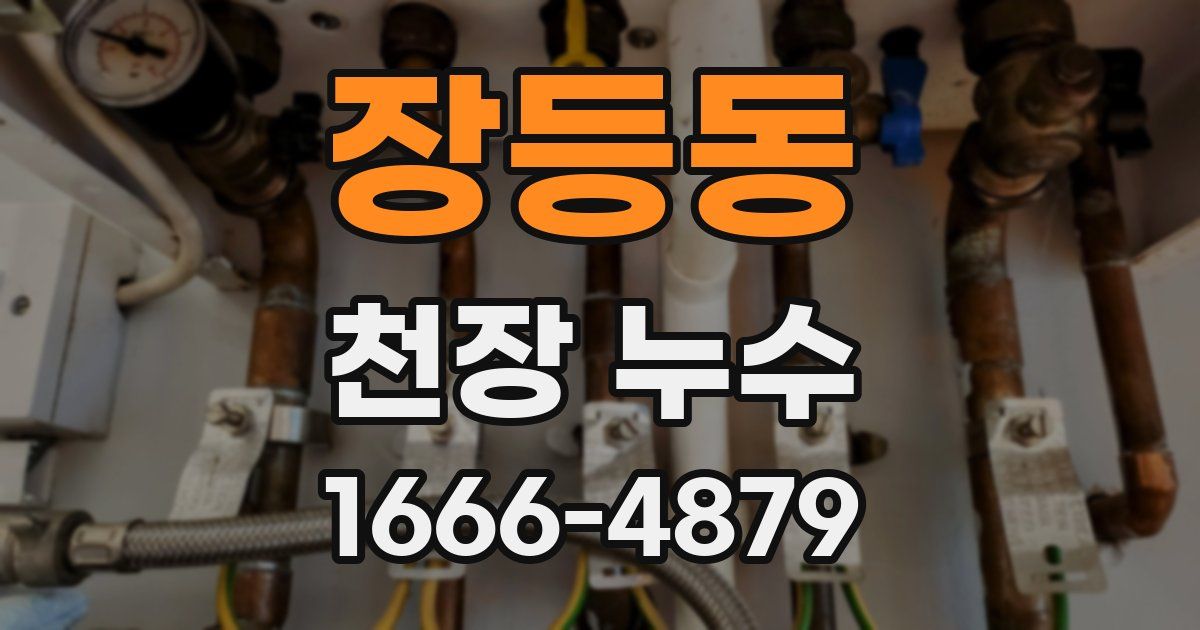 장등동 천장 누수